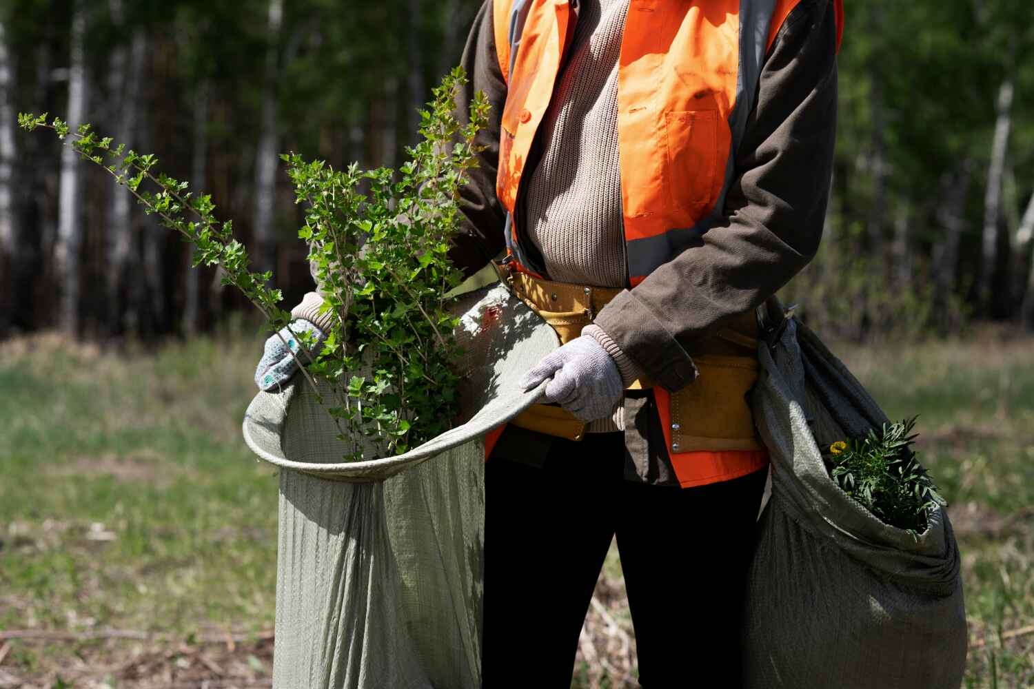 Best Dead Tree Removal  in Harrison, TN